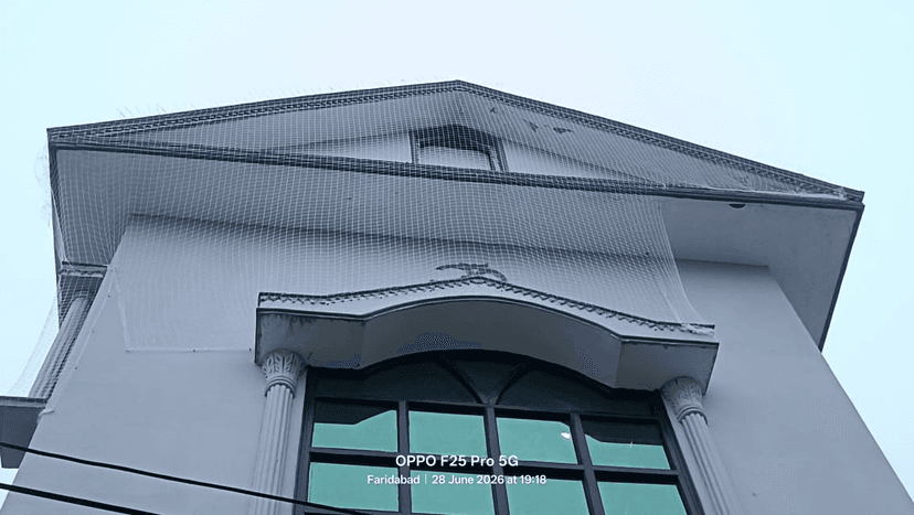 Nylon Transparent Net Installation Gurgaon
